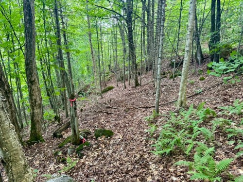 Terre/Terrain - Ch. Du Val-Des-Monts, Saint-Adolphe-D'Howard, QC 