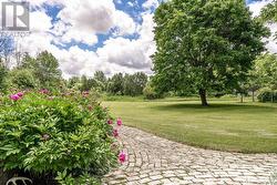 Walkway To Deck - 
