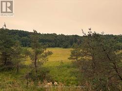 0 MUSKOKA 118W ROAD Bracebridge (Monck (Bracebridge)), ON P1L 1W8