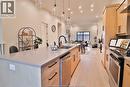 654 Lily Mac, Windsor, ON  - Indoor Photo Showing Kitchen With Upgraded Kitchen 