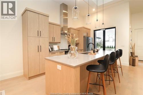 654 Lily Mac, Windsor, ON - Indoor Photo Showing Kitchen With Upgraded Kitchen