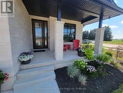 Front Porch - 
