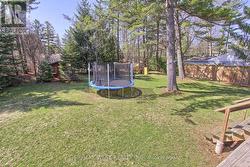 Great Backyard - 