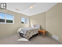 Third bedroom on the lower level with a walk-in closet - 