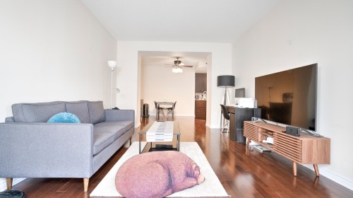 Living Room - 306-4405 Boul. St-Jean, Dollard-Des-Ormeaux, QC - Indoor Photo Showing Living Room