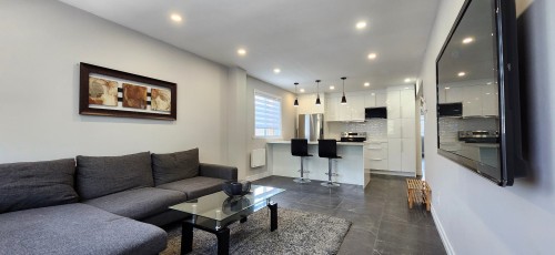 Vue d'ensemble - 5820 Rue De Cadillac, Montréal (Mercier/Hochelaga-Maisonneuve), QC - Indoor Photo Showing Living Room