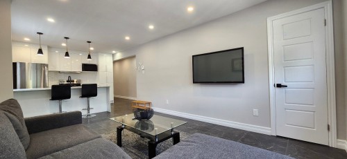 Salon - 5820 Rue De Cadillac, Montréal (Mercier/Hochelaga-Maisonneuve), QC - Indoor Photo Showing Living Room
