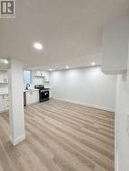 BASEMENT - 154 THAMES WAY Hamilton, ON L0R 1W0