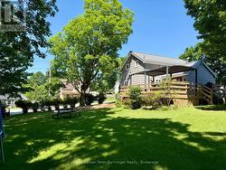 Backyard - 