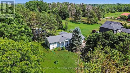 7819 5Th Line, Essa, ON - Outdoor With View