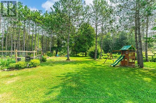 7819 5Th Line, Essa, ON - Outdoor