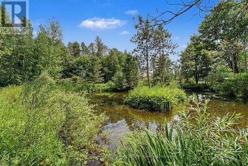 7819 5Th Line, Essa, ON - Outdoor