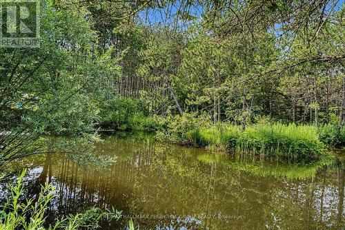 7819 5Th Line, Essa, ON - Outdoor