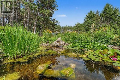 7819 5Th Line, Essa, ON - Outdoor With View
