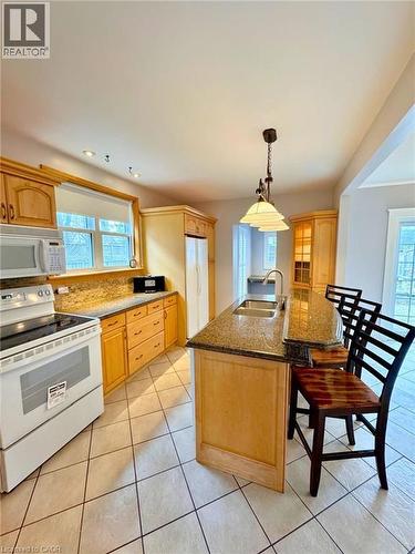 Kitchen with island - 9 Filbert Street, Kitchener, ON - Indoor Photo Showing Kitchen With Double Sink