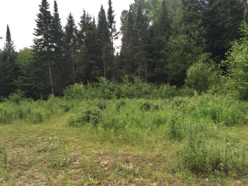 Terre/Terrain - Ch. Du Loup, Harrington, QC 