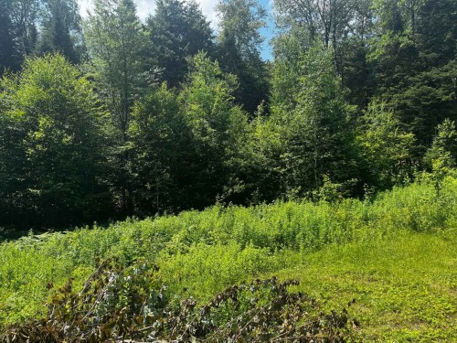 Terre/Terrain - Ch. Du Loup, Harrington, QC 