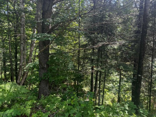Terre/Terrain - Ch. Du Loup, Harrington, QC 