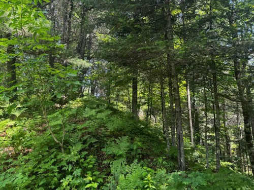 Terre/Terrain - Ch. Du Loup, Harrington, QC 