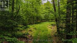0 PEPLINSKIE ROAD Madawaska Valley, ON K0J 1L0
