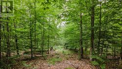 0 PEPLINSKIE ROAD Madawaska Valley, ON K0J 1L0