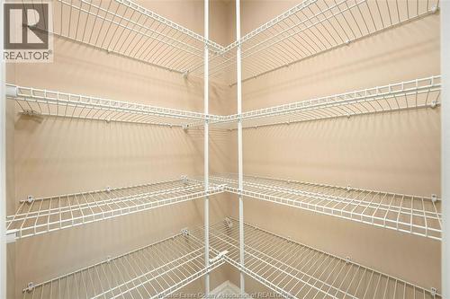 2988 Ruth, Windsor, ON - Indoor With Storage