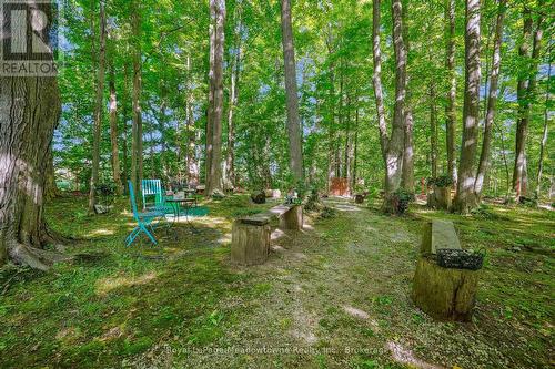 9878 15 Side Road, Halton Hills (Es Rural Esquesing), ON - Outdoor