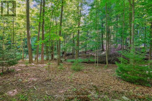 9878 15 Side Road, Halton Hills (Es Rural Esquesing), ON - Outdoor