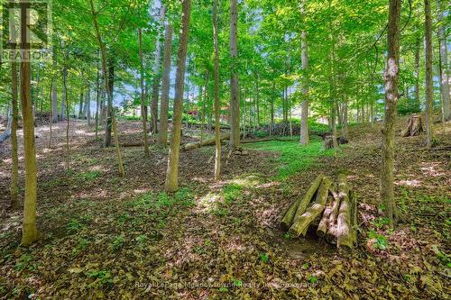 9878 15 Side Road, Halton Hills (Es Rural Esquesing), ON - Outdoor