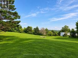 Beautiful back yard - 