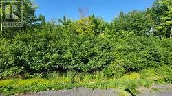 LOT 7 PLAN 246 TOLMIES CORNERS ROAD North Stormont, ON K0C 1V0