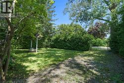 Front yard - 