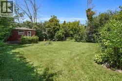 Back yard - 