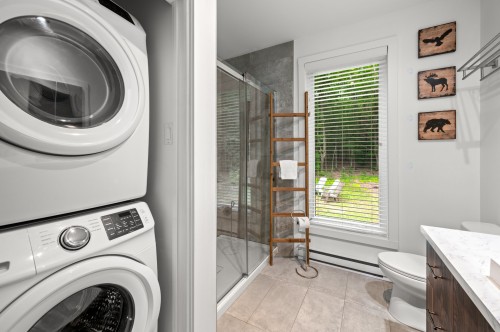 Salle de bains - 171 Ch. Du Retour-Aux-Sources, Amherst, QC - Indoor Photo Showing Laundry Room