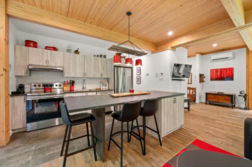 Cuisine - 171 Ch. Du Retour-Aux-Sources, Amherst, QC - Indoor Photo Showing Kitchen