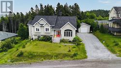 9 Davis Drive Mount Moriah, NL A0L 1J0