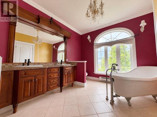 9 Davis Drive, Mount Moriah, NL - Indoor Photo Showing Bathroom