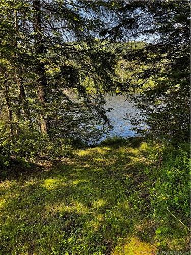 1076 Baisley Rd, Saint-Jacques, NB 