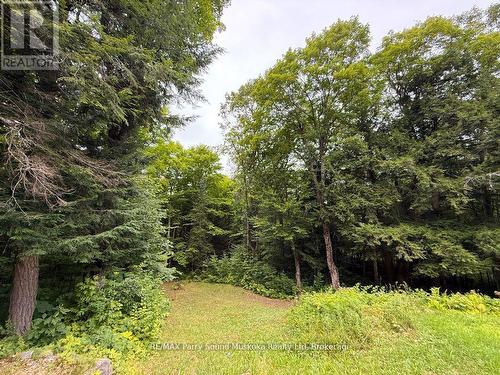 335 Centre Road, Mckellar, ON 