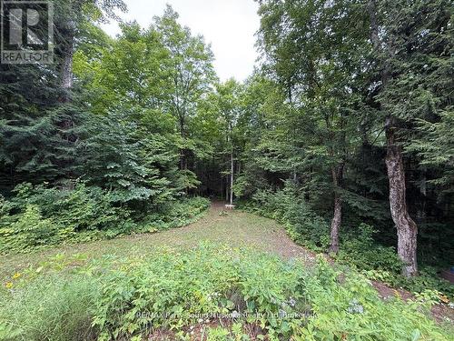 335 Centre Road, Mckellar, ON 