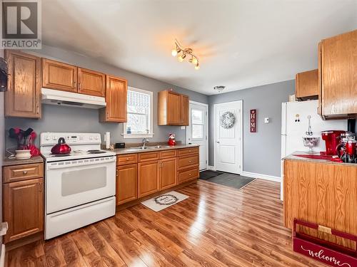 Apartment #2 - 465 Ville Marie Drive, Marystown, NL - Indoor Photo Showing Kitchen With Double Sink