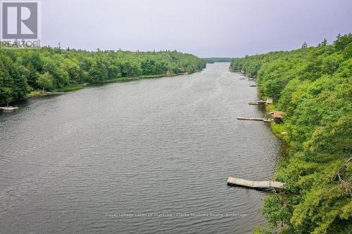 1053 Harrison Trail, Georgian Bay (Freeman), ON - Outdoor With Body Of Water With View