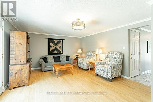 39 Bonnybank Court, Kitchener, ON - Indoor Photo Showing Living Room