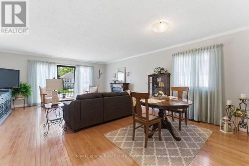 1069 Alexandra Avenue, Mississauga, ON - Indoor Photo Showing Living Room