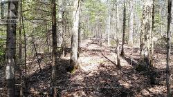 1025 520N HIGHWAY Whitestone, ON P0A 1G0