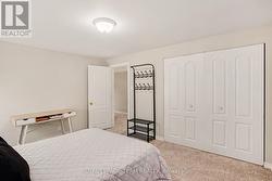 Lower level room with large closet - 