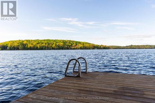 Ril Lake - 1311 S. Ril Lake Road, Lake Of Bays (Ridout), ON - Outdoor With Body Of Water With View