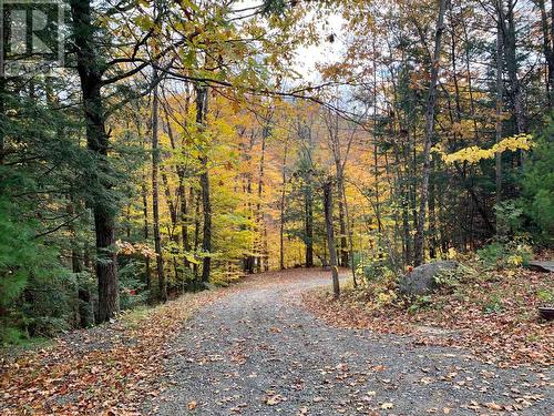 Fall Entrance - 1311 S. Ril Lake Road, Lake Of Bays (Ridout), ON - Outdoor