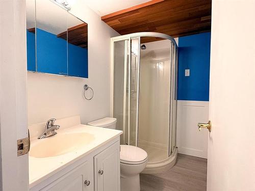 54 Darrach Bay, Brandon, MB - Indoor Photo Showing Bathroom