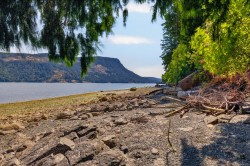8873 Stoney Hill Rd Duncan, BC V9L 5Y4